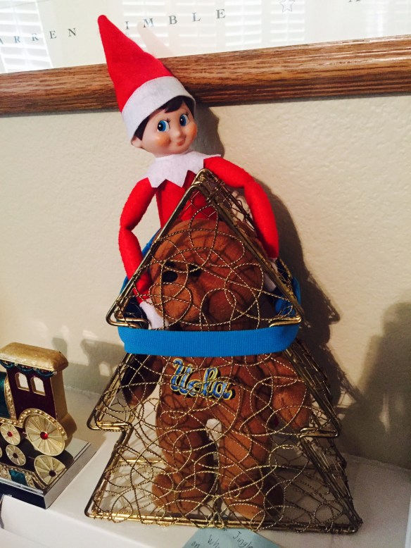 FullSizeRender(33) - Copy