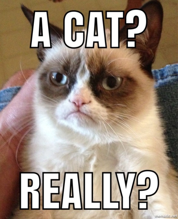 0CD26319-9BE3-414B-A2E4-097A90C944BF