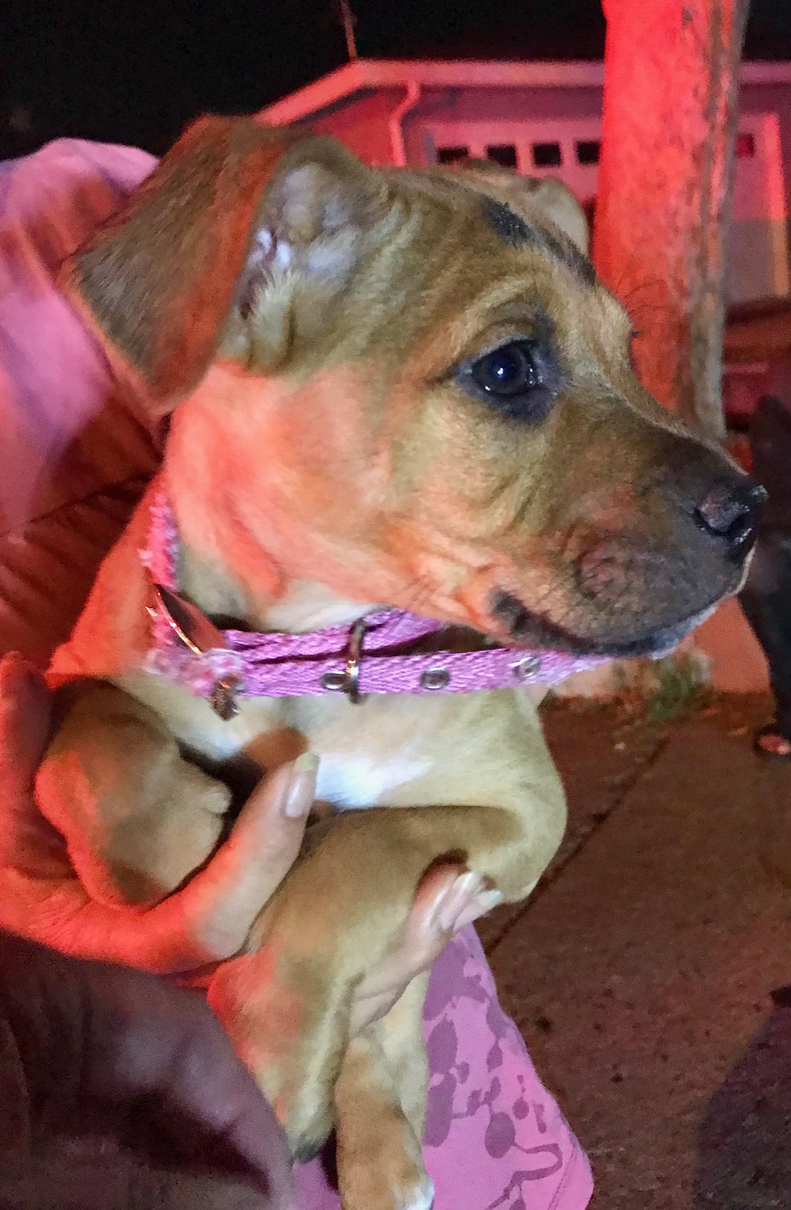 822FF65F-E95F-44FD-8CF6-6B486F67D177